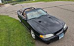 1998 SVT Cobra Thumbnail 13