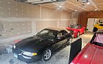 1998 SVT Cobra Thumbnail 18