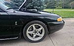 1998 SVT Cobra Thumbnail 58