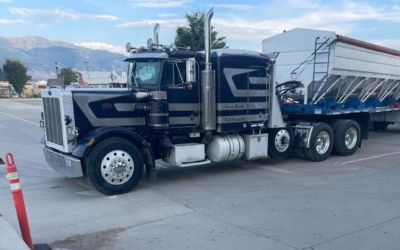 Photo of a 1981 Peterbilt 359 And A 2012 Rayman Stinger Trailer for sale