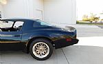 1979 Firebird Thumbnail 7