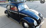 1956 Beetle Thumbnail 3