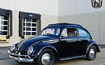 1956 Beetle Thumbnail 6