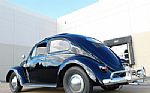 1956 Beetle Thumbnail 7