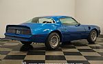 1978 Firebird Trans Am Thumbnail 15