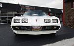 1979 Trans Am Thumbnail 2