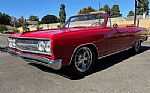 1965 Chevelle Thumbnail 3