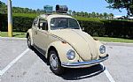 1968 Beetle Thumbnail 5