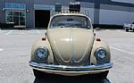 1968 Beetle Thumbnail 13