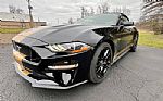 2019 Ford Mustang GT w/ Roush