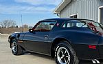 1979 Trans Am Thumbnail 4