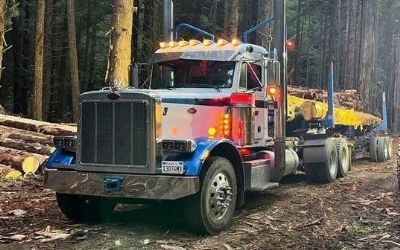 Photo of a 2000 Peterbilt 379 for sale