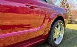 2005 Mustang Thumbnail 49