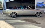 1966 Chevelle Thumbnail 4