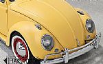 1964 Beetle Thumbnail 11