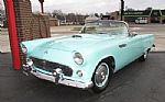 1955 Thunderbird Thumbnail 17