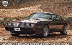 1980 Firebird Thumbnail 12