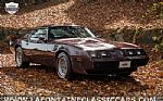 1980 Firebird Thumbnail 18