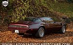 1980 Firebird Thumbnail 19