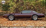 1980 Firebird Thumbnail 72