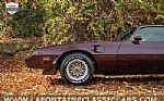 1980 Firebird Thumbnail 73