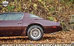 1980 Firebird Thumbnail 75