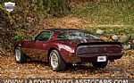 1980 Firebird Thumbnail 84