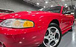 1997 Mustang SVT Cobra Thumbnail 15