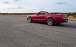 2005 Mustang Thumbnail 5