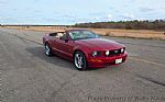 2005 Mustang Thumbnail 15