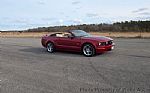 2005 Mustang Thumbnail 14