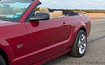 2005 Mustang Thumbnail 19