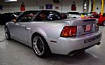 2003 Mustang Cobra Convertible TERM Thumbnail 17