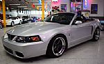 2003 Mustang Cobra Convertible TERM Thumbnail 27