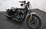 2022 Sportster XL Iron Thumbnail 6