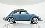 1959 Beetle Thumbnail 13