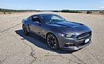 2015 Mustang Thumbnail 15