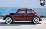 1959 Beetle Thumbnail 3