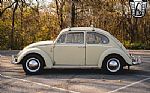 1965 Beetle Thumbnail 3