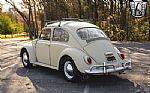 1965 Beetle Thumbnail 4