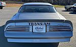 1976 Trans Am Thumbnail 8