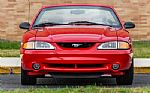 1994 Mustang SVT Cobra Thumbnail 7