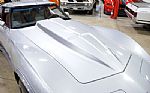 1978 Corvette Silver Anniversary Ed Thumbnail 18