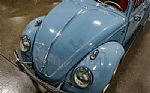 1959 Beetle Thumbnail 28