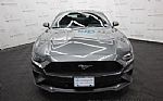 2019 Mustang Thumbnail 9