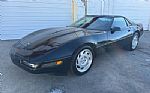 1991 Corvette Thumbnail 10