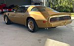 1979 Firebird Thumbnail 10