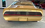 1979 Firebird Thumbnail 6