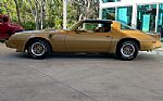 1979 Firebird Thumbnail 11