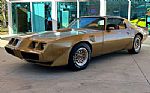 1979 Firebird Thumbnail 12